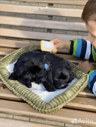 Щенок лабрадора с дыханием Perfect Petzzz