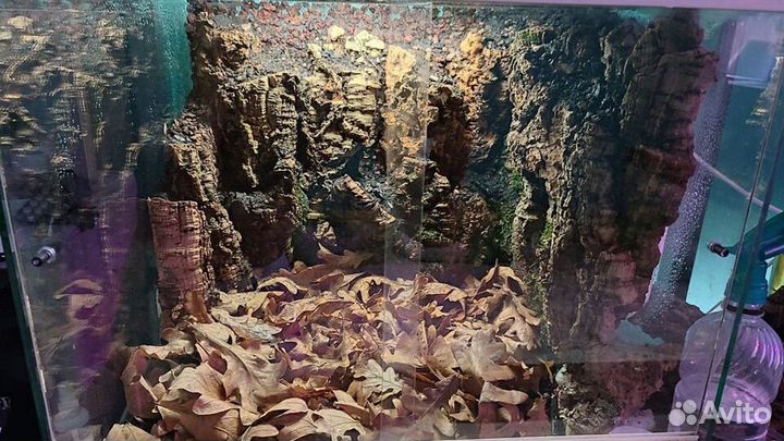 Доставка / Кора Пробкового Дуба (на развес, сухая)