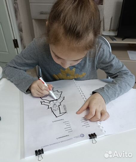 Курс каллиграфии