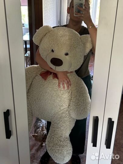 Плюшевый медведь