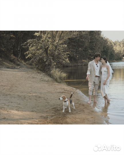 Свадебный фотограф