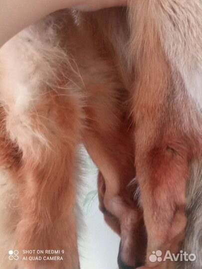 Лисья шкура, чулок