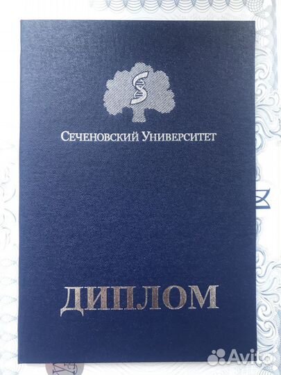 Массаж Москва Университет