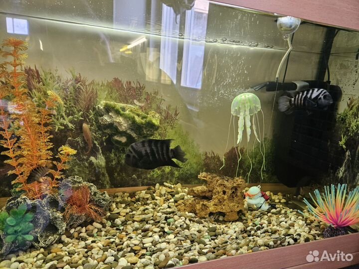 Аквариум с тумбой 110 литров