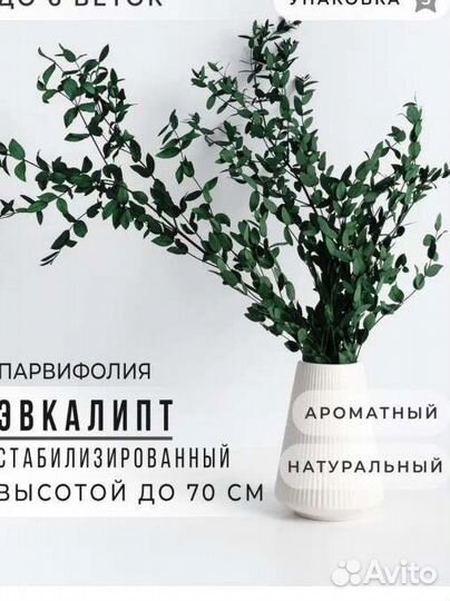 Сухоцвет эвкалипт стабилизированный, для декора