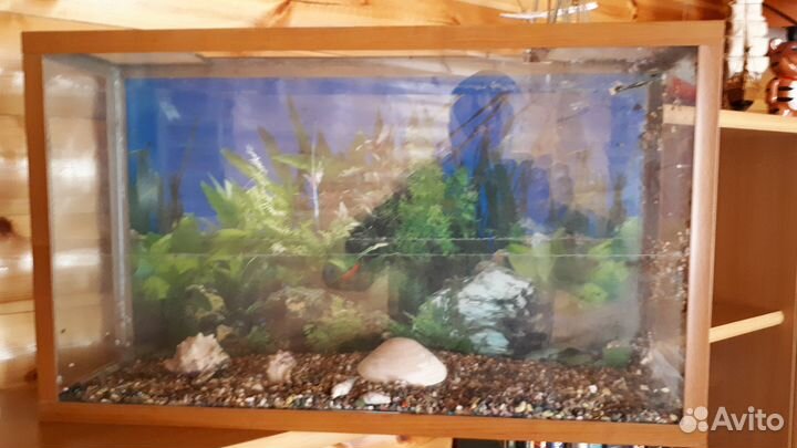 Продам аквариум