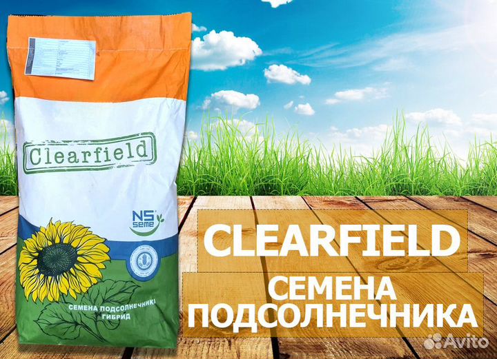 Семена подсолнечника нс х 6343 (clearfield)