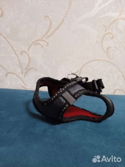 Шлейка для маленькой собаки