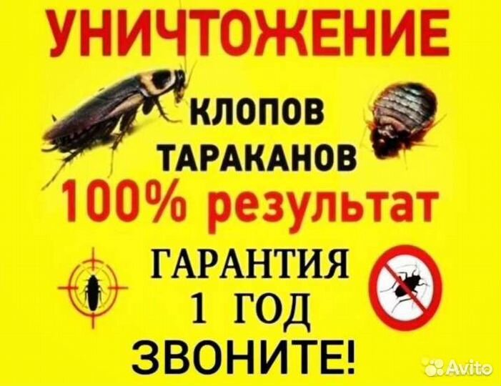 Уничтожение клопов тараканов блох мышей запаха