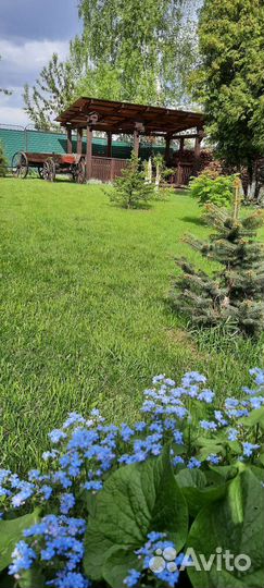 Беседка с мангалом аренда