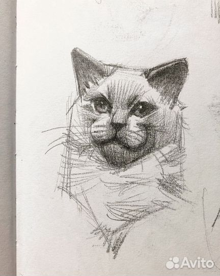 Рисую ваших питомцев