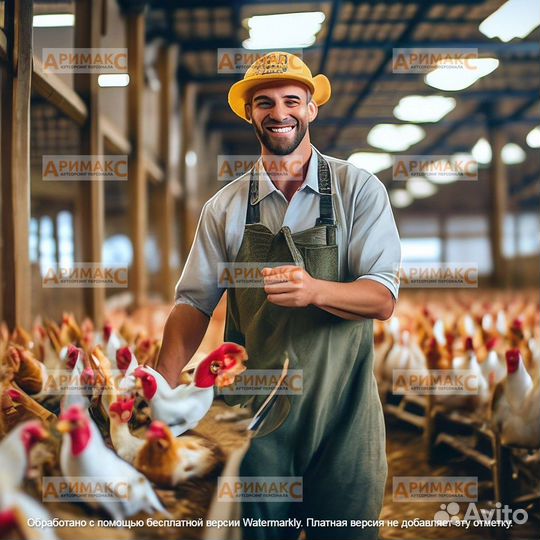 Оператор линии на птицефабрику, вахта