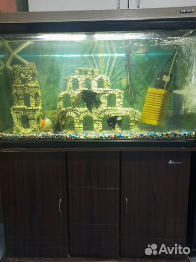 Аквариум