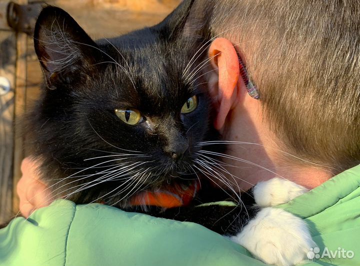 Дотроньтесь до моего сердца