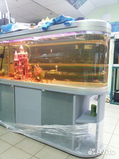 Аквариумы от производителя, оборудование и рыбы до