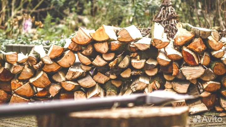 Дрова с Зеленогорска