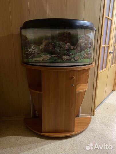 Аквариум с тумбой 100 литров