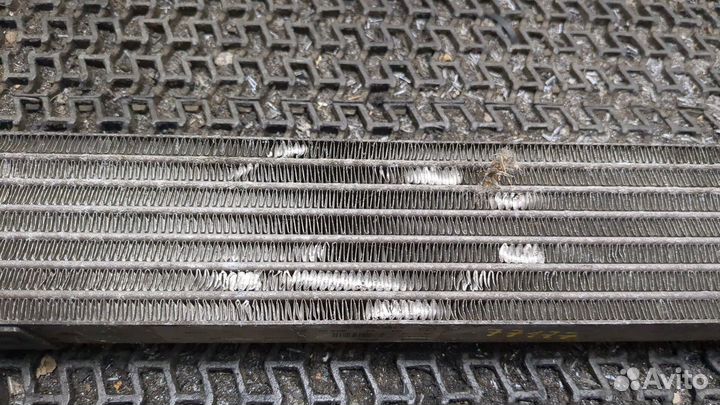 Радиатор масляный Mercedes B W245, 2005