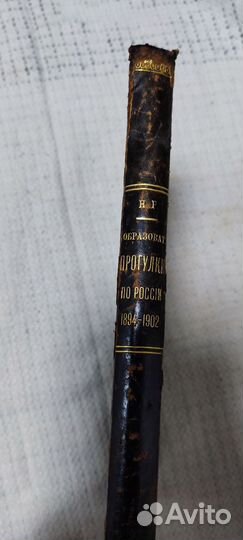 Книга - Прогулки по России 1894-1902