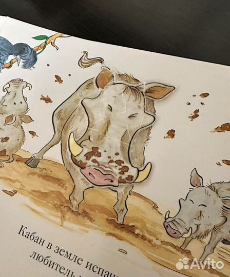 Мэтью ван флит зоопарк