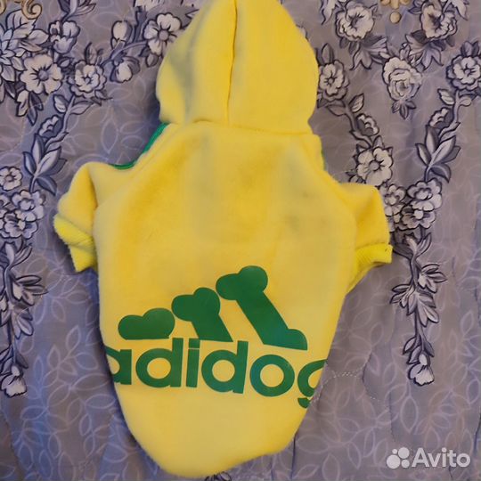 Одежда для маленькой собачки