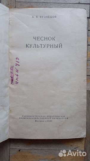 Чеснок культурный. А. В. Кузнецов. 1954 год