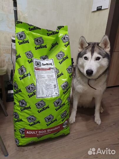 ZooRing для собак