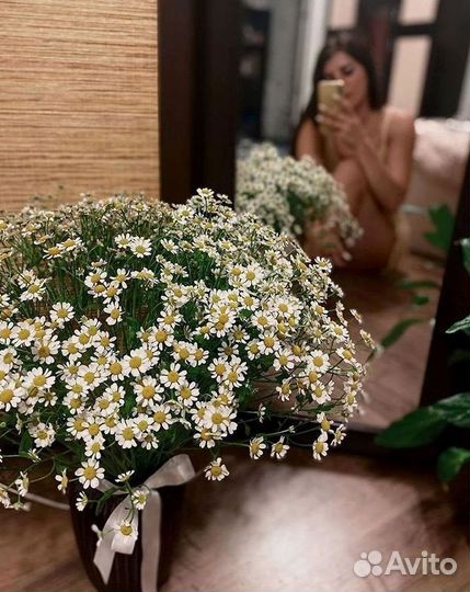 Ромашки букет