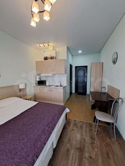 1-к. квартира, 26 м², 9/9 эт.