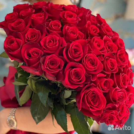 Букет из 51 Роз (Французские Роза)