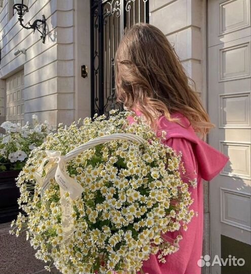 Ромашки цветы букеты