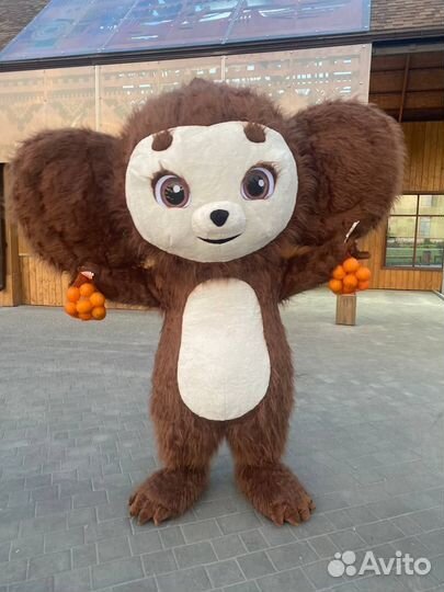 Экспресс поздравление от Ушастика,от Чебурека