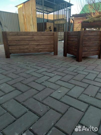 Кашпо, ящик для цветов, туй