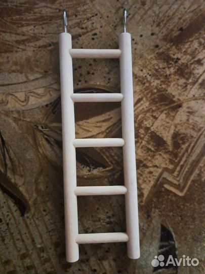 Жордочка для попугая