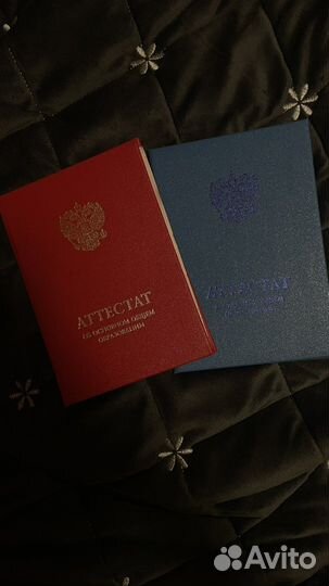 Обучение, домашнее задание, курсовые работы