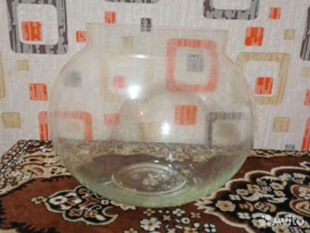 Аквариумные рыбки