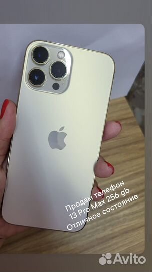 Apple iPhone 13 pro max
