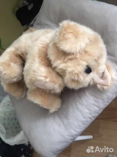 Интерактивная собака