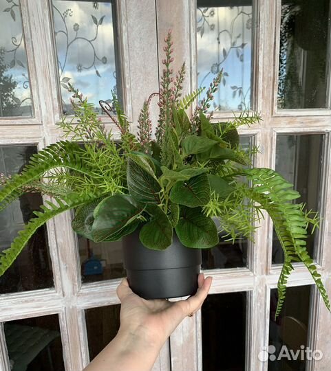 Кашпо с папоротником