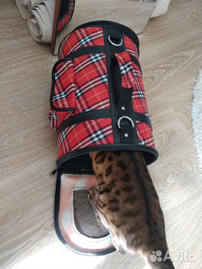 Переноска для кошек бу