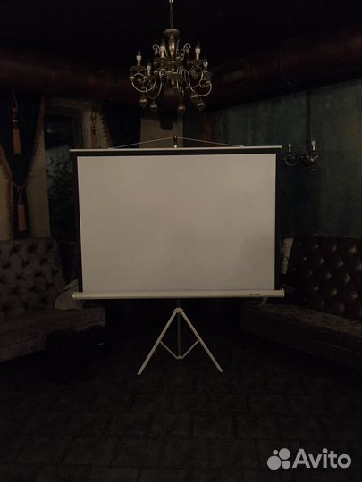 Аренда проектора и экрана