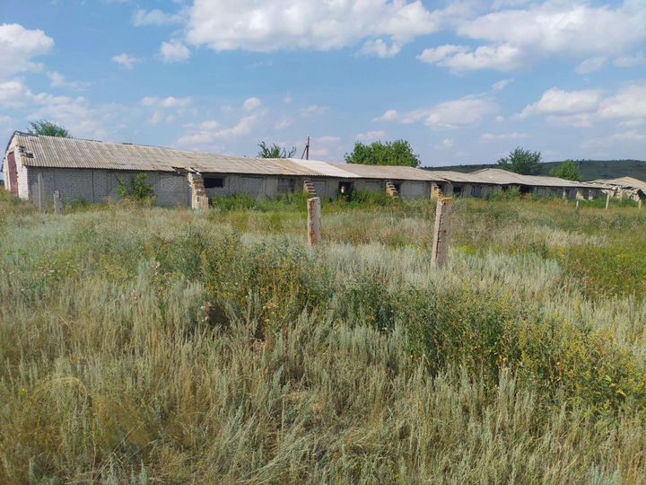 Участок 26,1 сот. (СНТ, ДНП)