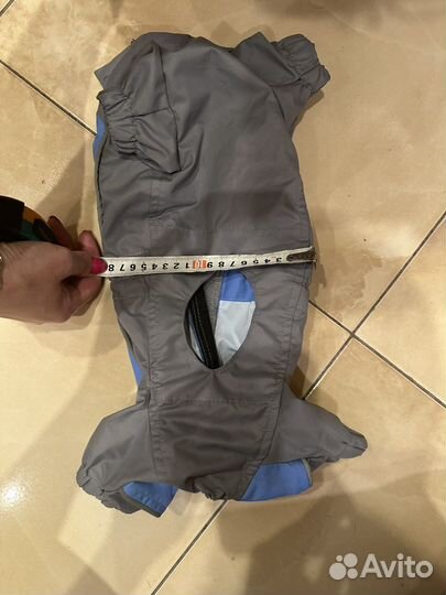 Одежда для маленьких собак