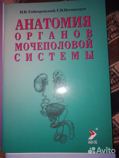 Анатомия