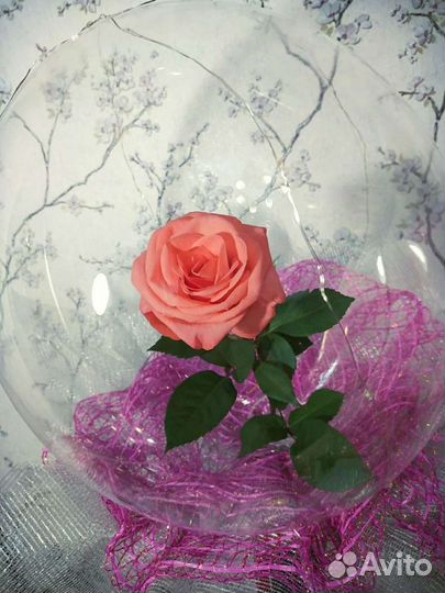 Живая роза в шаре