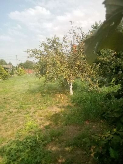 Дом 76 м² на участке 28 сот.