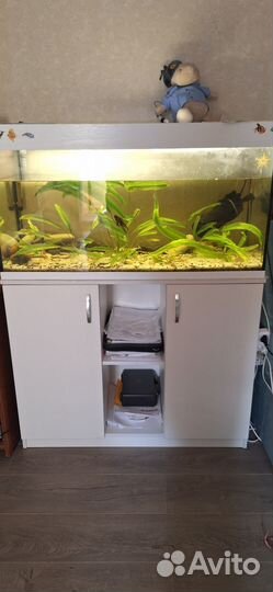 Аквариум