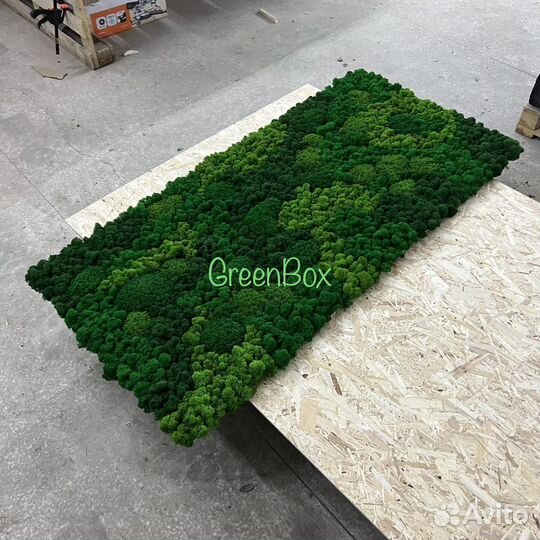 Панно из мха 165*80см