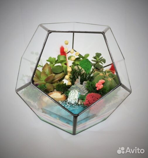 Флорариум/ цветы/ подарки