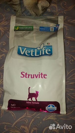 Farmina Vet Life Struvite для кошек 2 кг